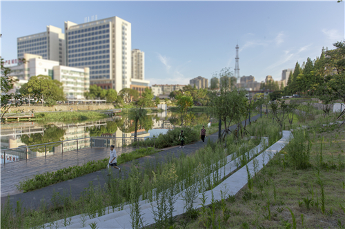 園冶杯專業(yè)獎|池州護(hù)城河遺址公園景觀與海綿設(shè)計