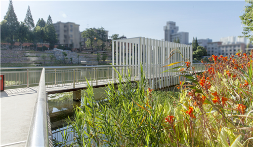 園冶杯專業(yè)獎|池州護(hù)城河遺址公園景觀與海綿設(shè)計