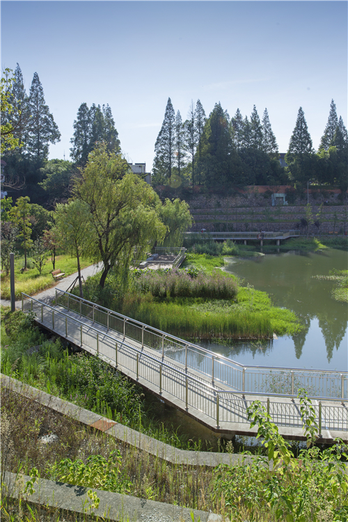 園冶杯專業(yè)獎|池州護(hù)城河遺址公園景觀與海綿設(shè)計