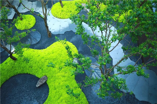 吉盛園林｜不期而遇香港置地·林山郡