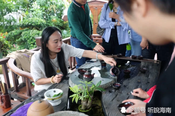 2019第七屆世界生態(tài)城市與屋頂綠化大會在?？诔晒φ匍_