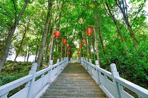2019年園冶杯專業獎|廬山桃花源景區工程