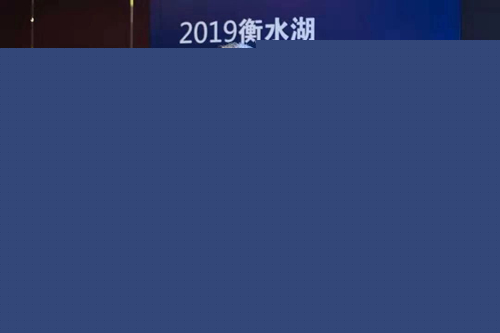 十余國知名專家衡水論劍 共話湖城生態文明建設之路