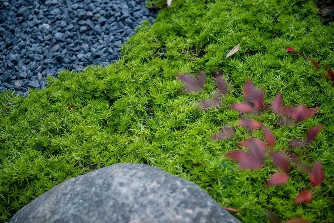 穿越千年盛唐，赴山水詩(shī)意之境 | 太白山·唐鎮(zhèn)