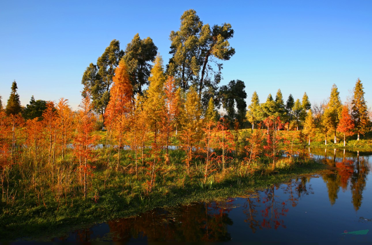 南滇池濕地成昆明首個“國家濕地公園”