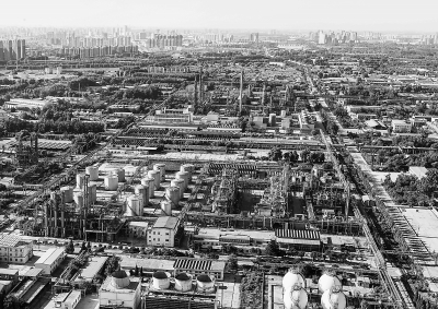 先造林，后造城：城市副中心“長(zhǎng)”在森林里 