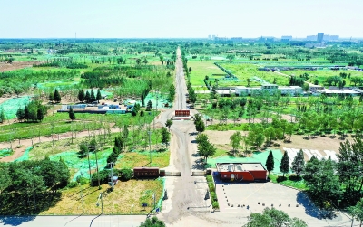 先造林，后造城：城市副中心“長(zhǎng)”在森林里 