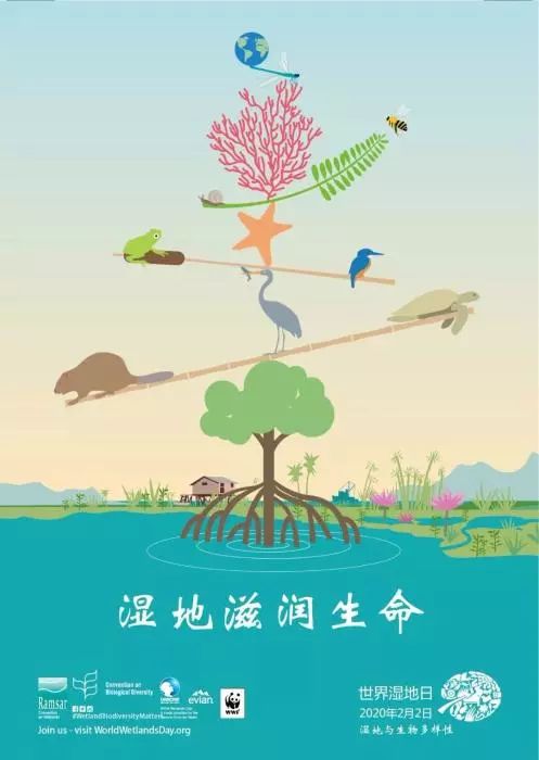 第24個世界濕地日：濕地與生物多樣性