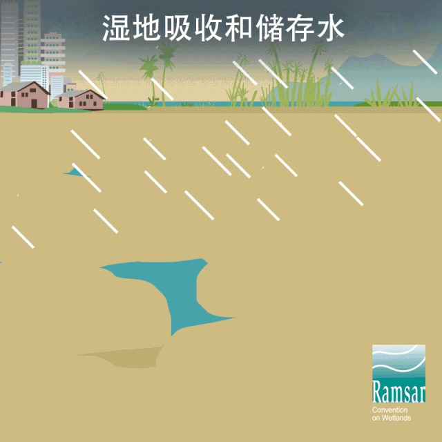 第24個世界濕地日：濕地與生物多樣性