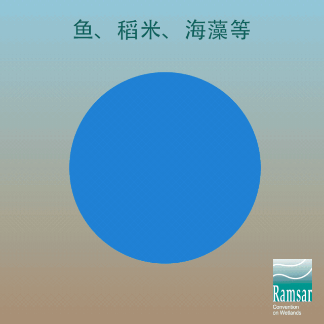 第24個世界濕地日：濕地與生物多樣性