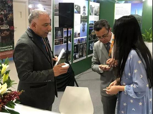 曲江新區應邀參加聯合國WUF10展覽，向世界展現西安文化景觀之美