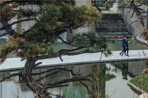 種地設計優秀作品——萬科觀湖禮著參展聯合國世界城市論壇