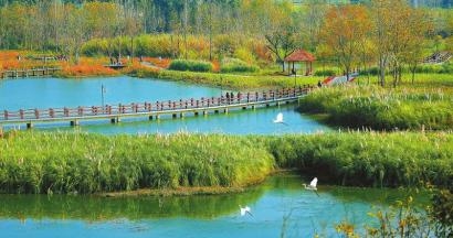 成都有了“國(guó)家濕地公園”