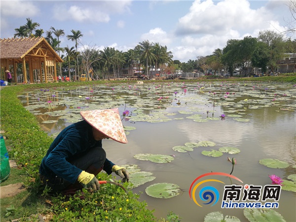 海南大山泰景觀發(fā)動村民參與文旅項目建設(shè)