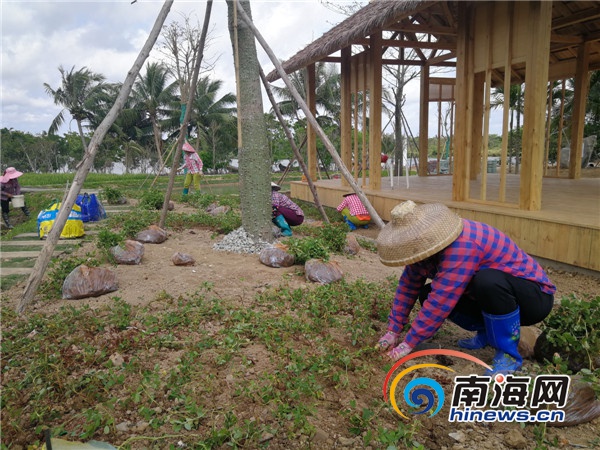 海南大山泰景觀發(fā)動村民參與文旅項目建設(shè)