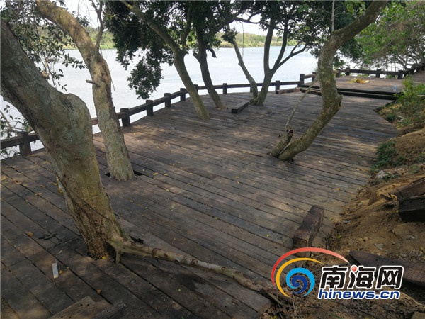 海南大山泰景觀發(fā)動村民參與文旅項目建設(shè)