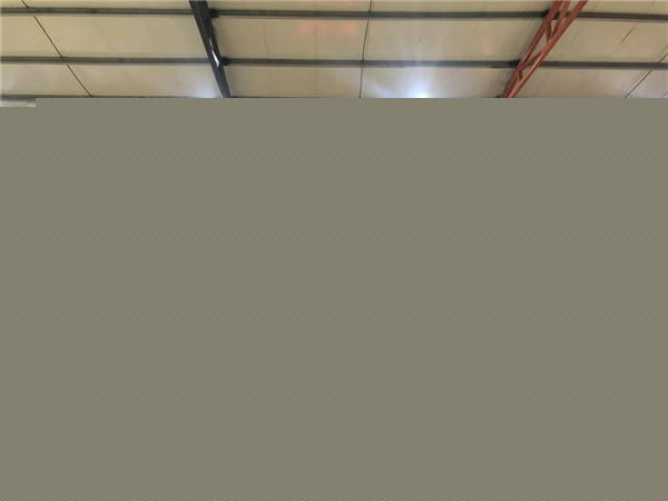 充滿希望的一年/羅漢園林2020年春季招聘