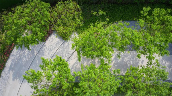 中梁棠城壹號院