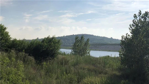 青島桃李春風(fēng)生活體驗區(qū)