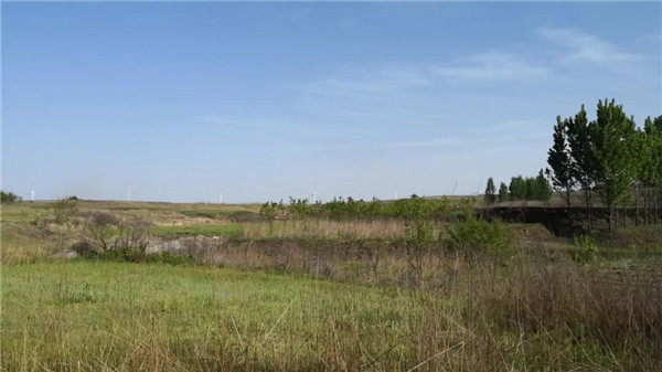 青島桃李春風(fēng)生活體驗區(qū)