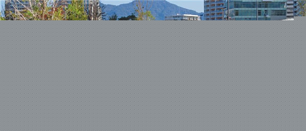 劉玉龍：醫療設施——綠色生態城市的急救站