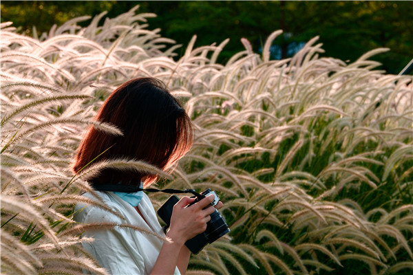 賽肯思景觀丨廣州中海·左岸瀾庭