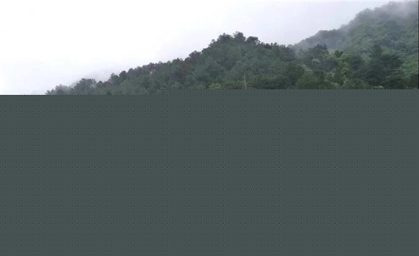 直播預告丨?阿普貝思景觀實踐與思考