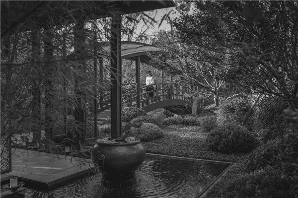 賽瑞景觀丨廈門建發(fā)?養(yǎng)云