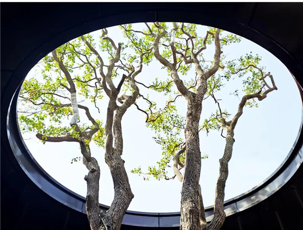 帝奧設計丨中梁·時代江來——半城江水，半城詩歌