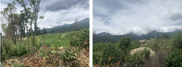 漫格景觀丨大理的小院子中區生活體驗中心