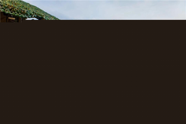 怡境設計丨英德黃花觀音谷璞營地