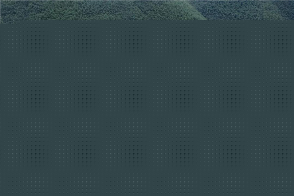 原筑景觀丨莫干山原舍懷谷酒店