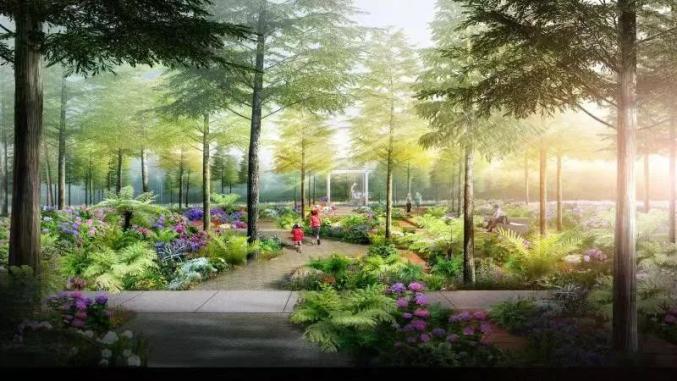 花博會內5000㎡“上海園”什么樣?