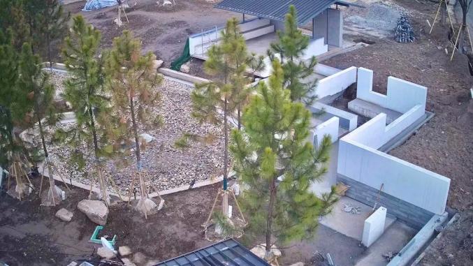 花博會內5000㎡“上海園”什么樣?