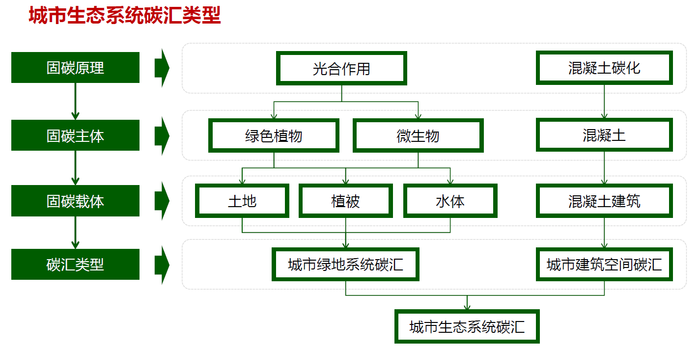 石鐵矛：“碳中和”導向下的城市綠地系統碳匯