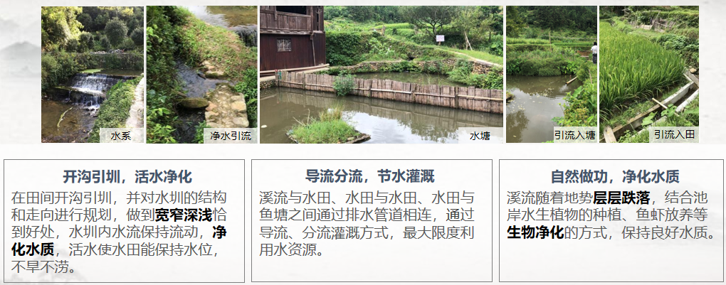 胡希軍：中國傳統(tǒng)村落生產(chǎn)智慧，從文化自信到文化輸出