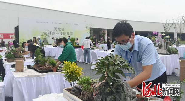 2021年河北省園林職業技能競賽在唐山開賽
