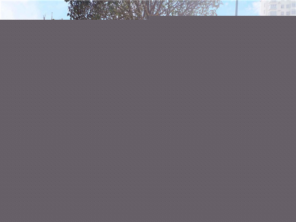 平輿縣縣城綠地景觀提升改造工程設計施工一體化項目（EPC）