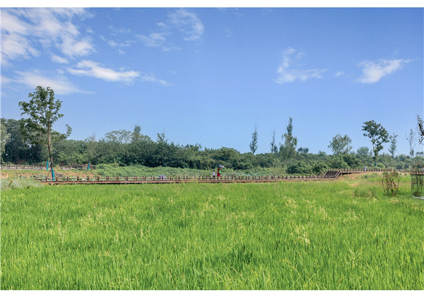 蜀山鄉(xiāng)村振興示范區(qū)元塘、大嶺南及小嶺南村民組人居環(huán)境綜合整治項(xiàng)目