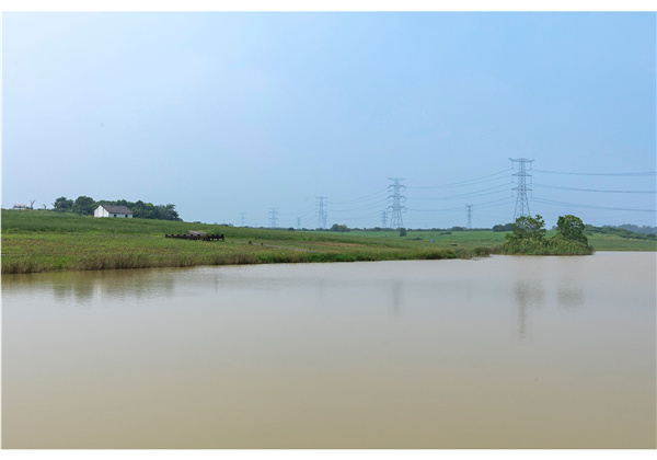 蜀山鄉(xiāng)村振興示范區(qū)元塘、大嶺南及小嶺南村民組人居環(huán)境綜合整治項(xiàng)目