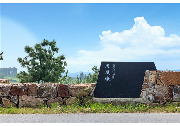 蜀山鄉(xiāng)村振興示范區(qū)元塘、大嶺南及小嶺南村民組人居環(huán)境綜合整治項(xiàng)目