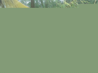讓自然山水與教育體驗(yàn)充分融合