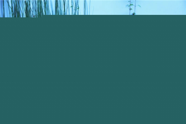 海躍潤園丨北京魯能格拉斯別墅花園