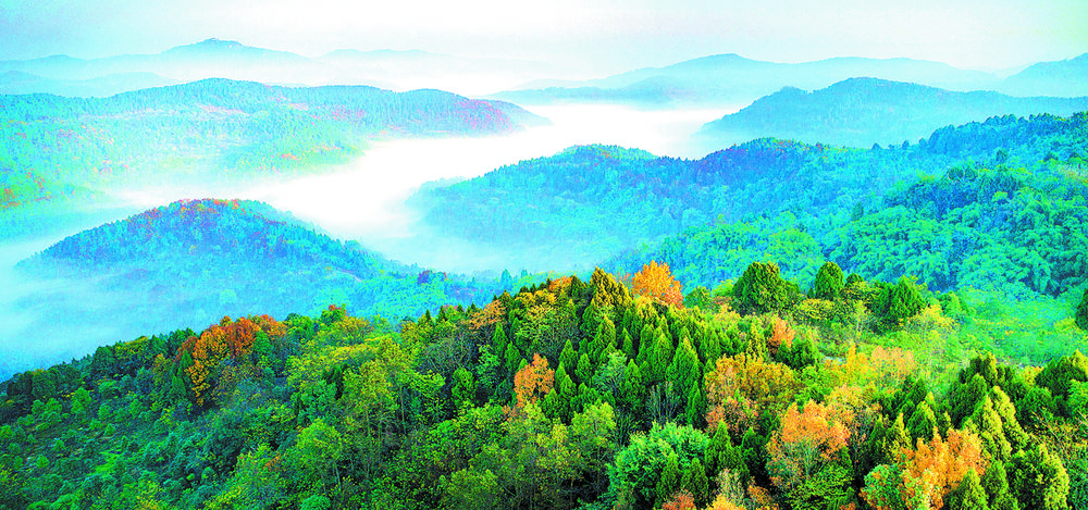 成都首份公園城市調查報告發布