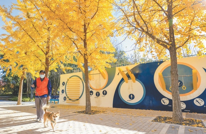 北京二環邊新開放一批公園綠地