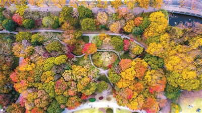 上海植物園：城市中心的植物博物館