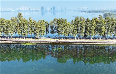 中國履行《濕地公約》30周年成果卓著