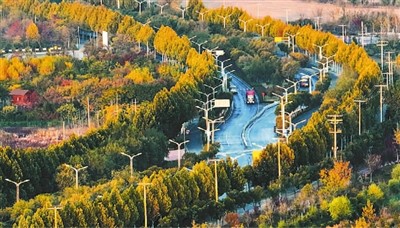 中國履行《濕地公約》30周年成果卓著