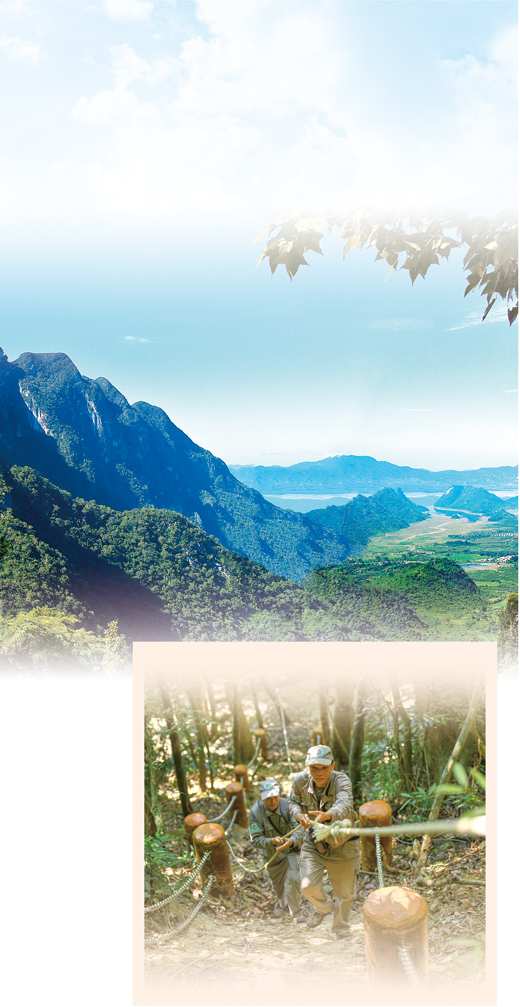 海南熱帶雨林國家公園：推進生態搬遷、修復雨林生態