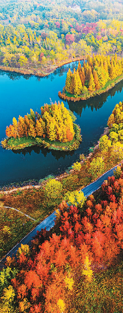 濕地旅游豐富多彩:親水觀鳥深呼吸 賞花徒步可露營